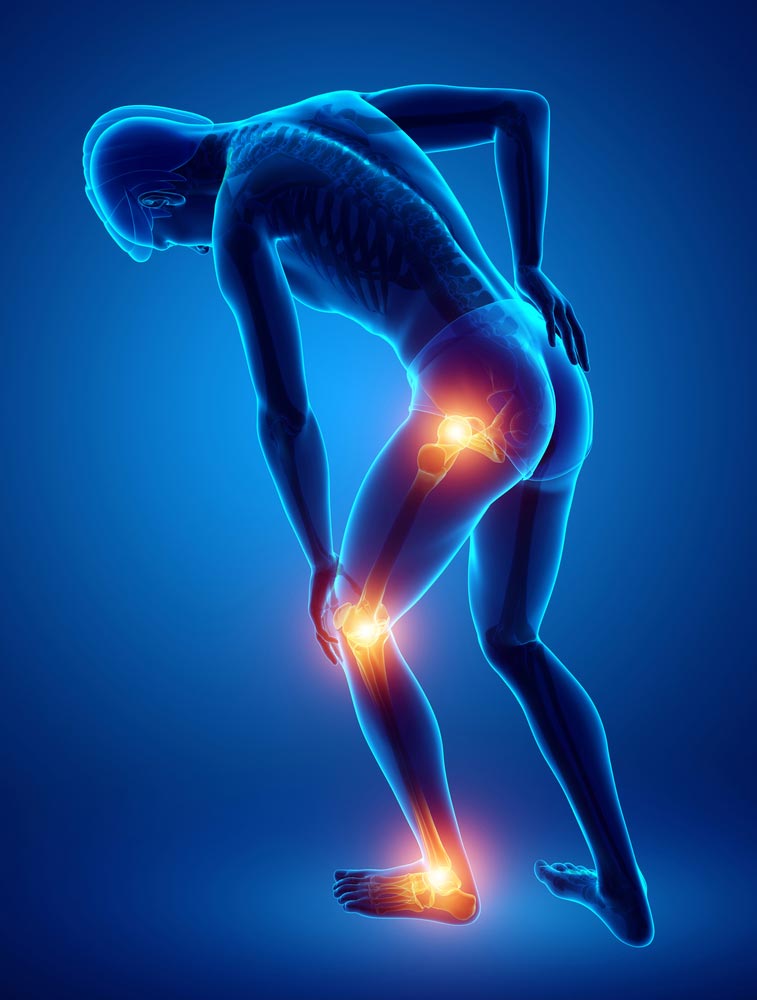 Movement Mechaniccs and Back Pain
